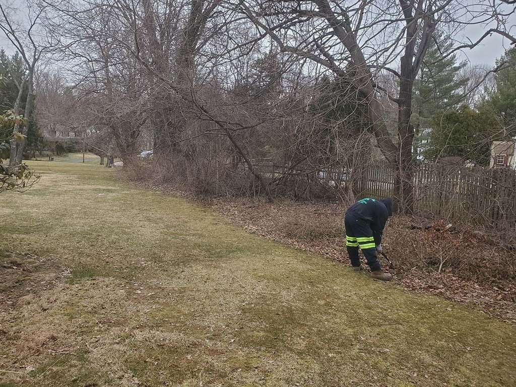 Worker in dark jacket clearing brush along a roadside in a wintery yard.