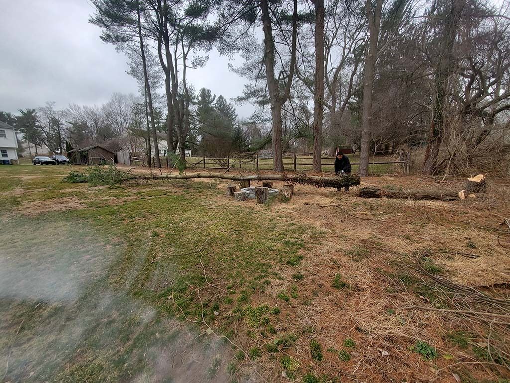 Leaf-covered yard with bare trees, a fire pit, and a person standing near the center on a cloudy day