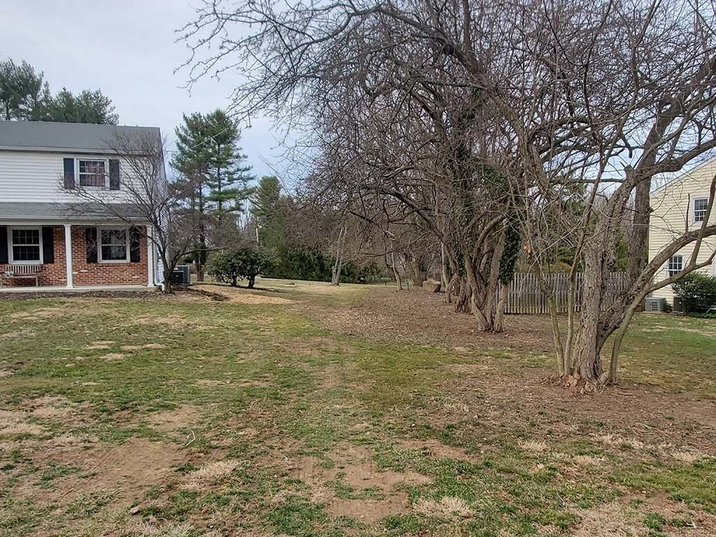 Leafy backyard with a brick house on the left and bare trees in a quiet residential setting