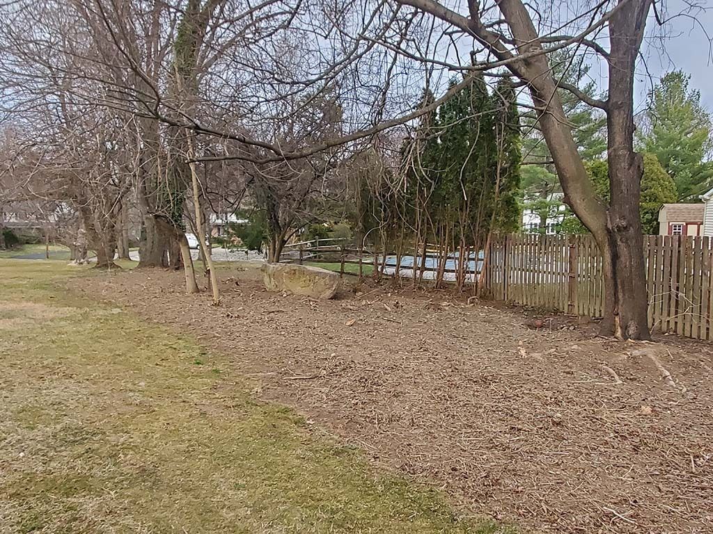 Leaf-covered park path beside bare trees and a wooden fence on a cloudy day