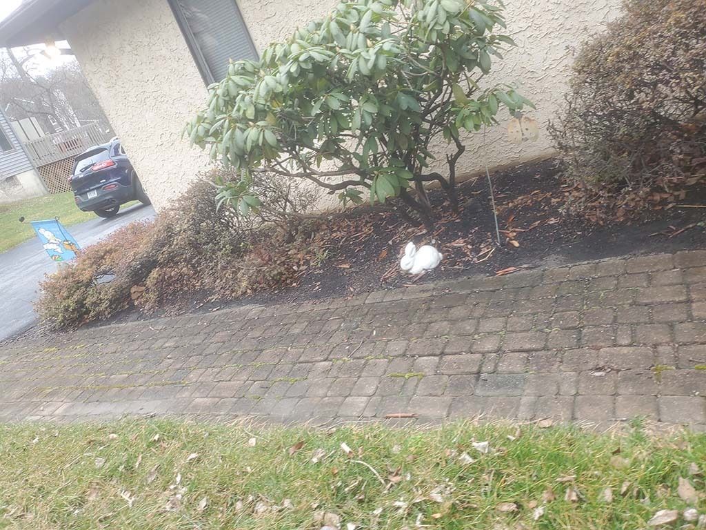 Brick sidewalk beside a hedge and apartment building, with a small white object on the ground.