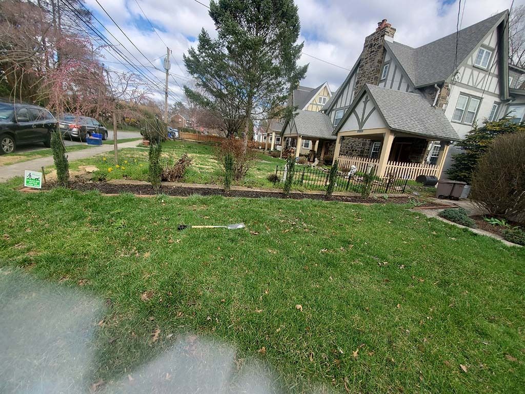 Front yard with green grass, a Tudor-style house, trees, and a sidewalk on a cloudy day