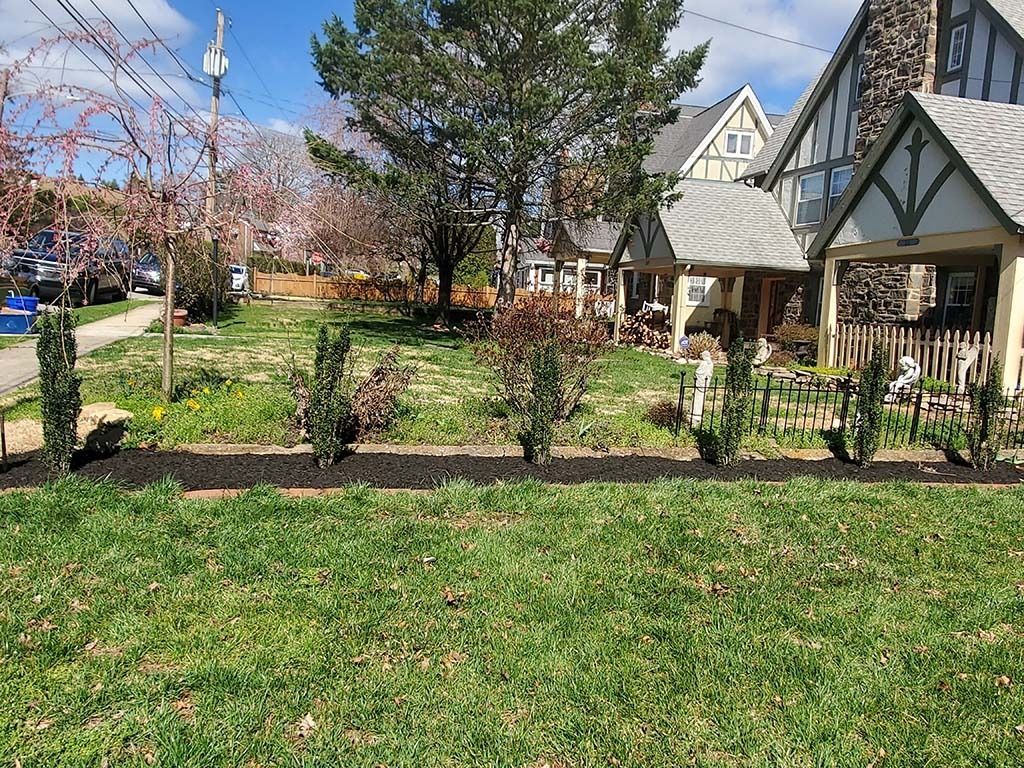 Front yard garden with small shrubs, green lawn, and two houses on a sunny day