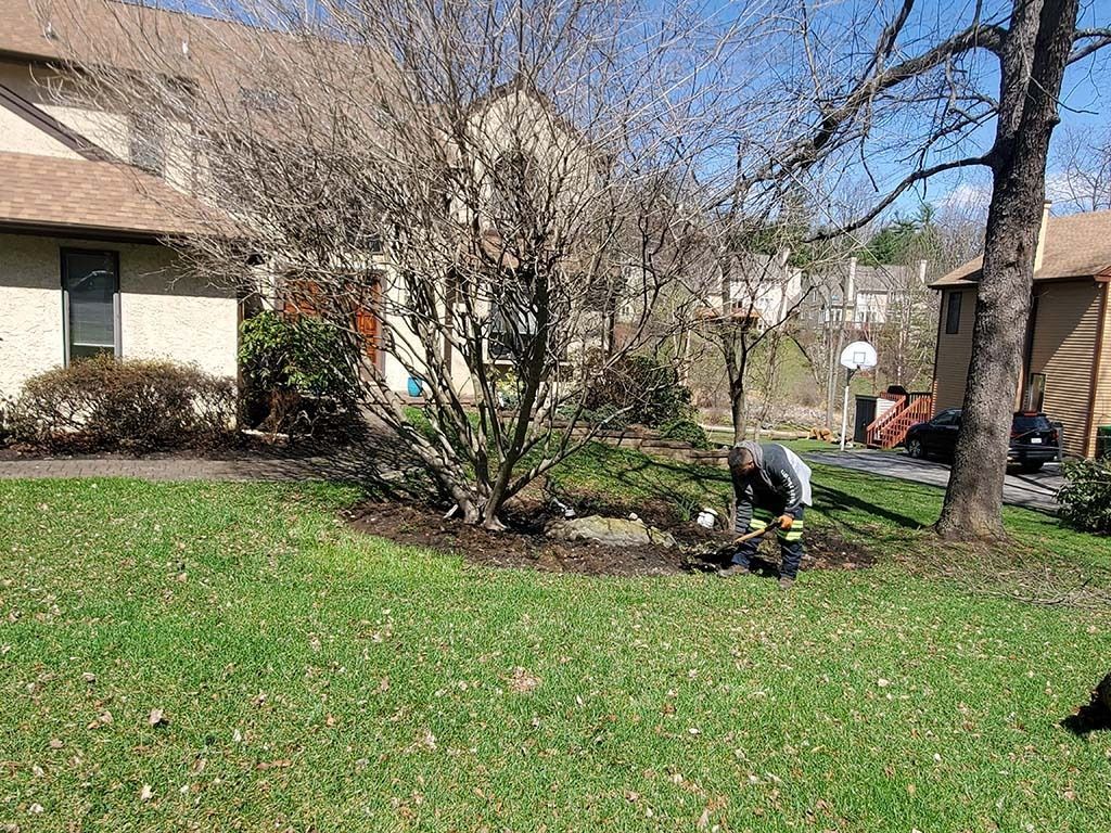 Person kneeling in a green yard near a blossoming tree beside houses on a sunny day