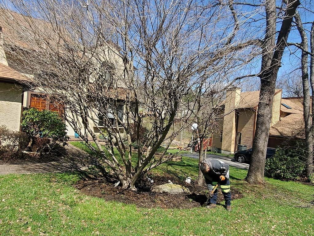 Person kneeling in a grassy yard beside a leafless tree and house on a sunny day