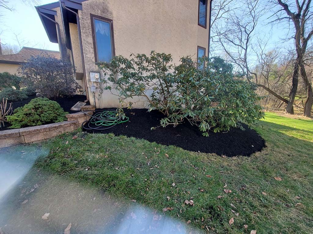 Landscape bed with black mulch, shrubs, and a tan house beside a grassy yard