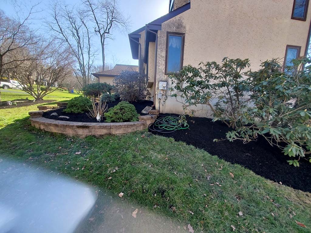 Suburban house front yard with shrubs, mulched flower beds, and a grassy lawn on a sunny day