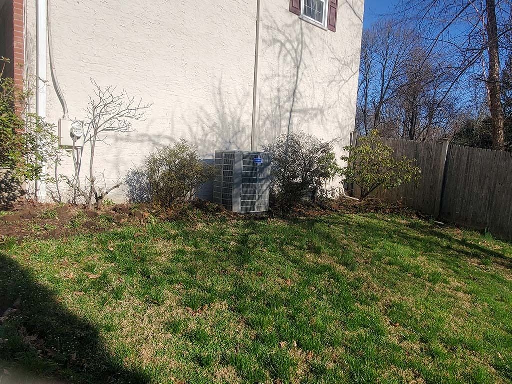Backyard with patchy grass, shrubs, a house wall, and a wooden fence in sunlight