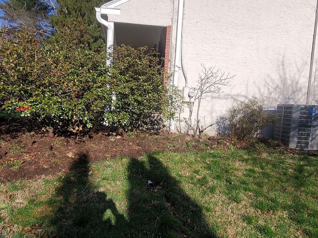 Backyard lawn beside a white house, with shrubs and two people’s shadows in the grass.
