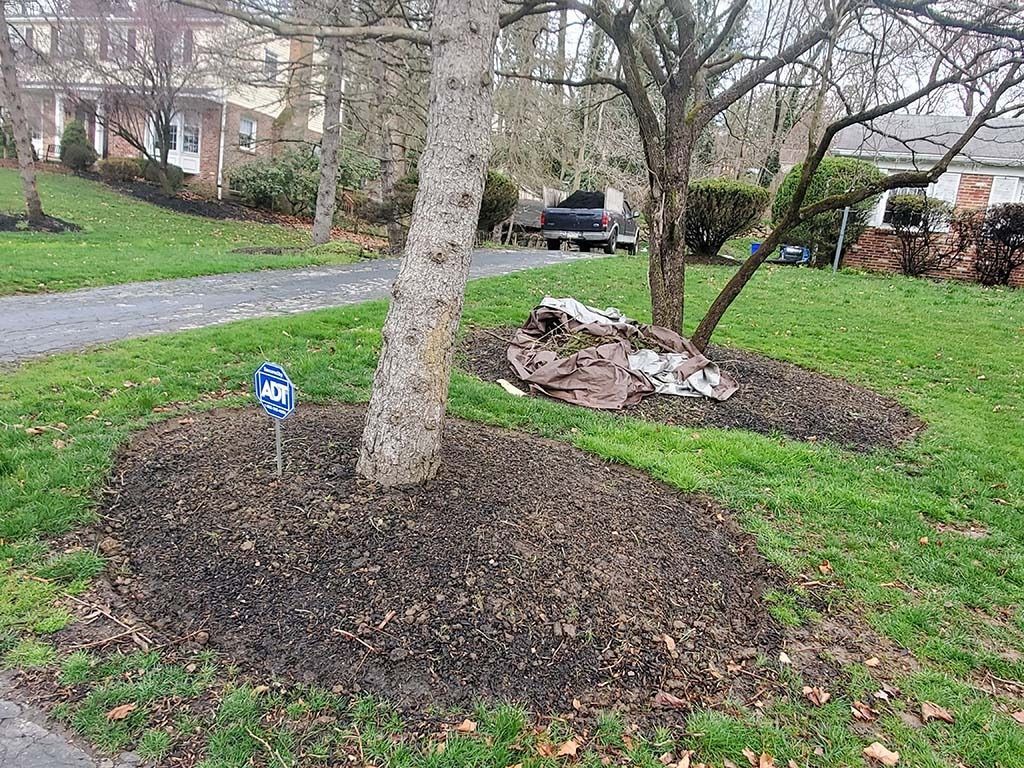 Mulched tree ring in a front yard, with a small blue sign and a landscaped garden bed nearby.