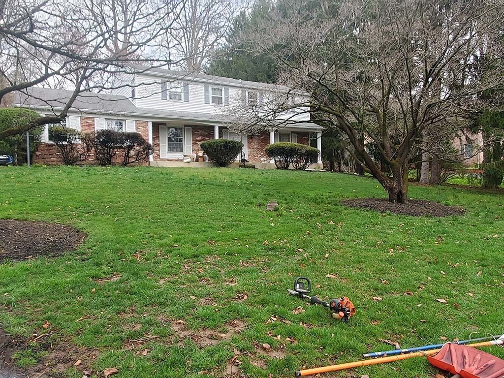 Suburban house with a large green lawn, leafless trees, and a lawn mower in the foreground
