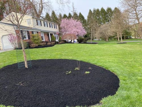 Kener Landscaping