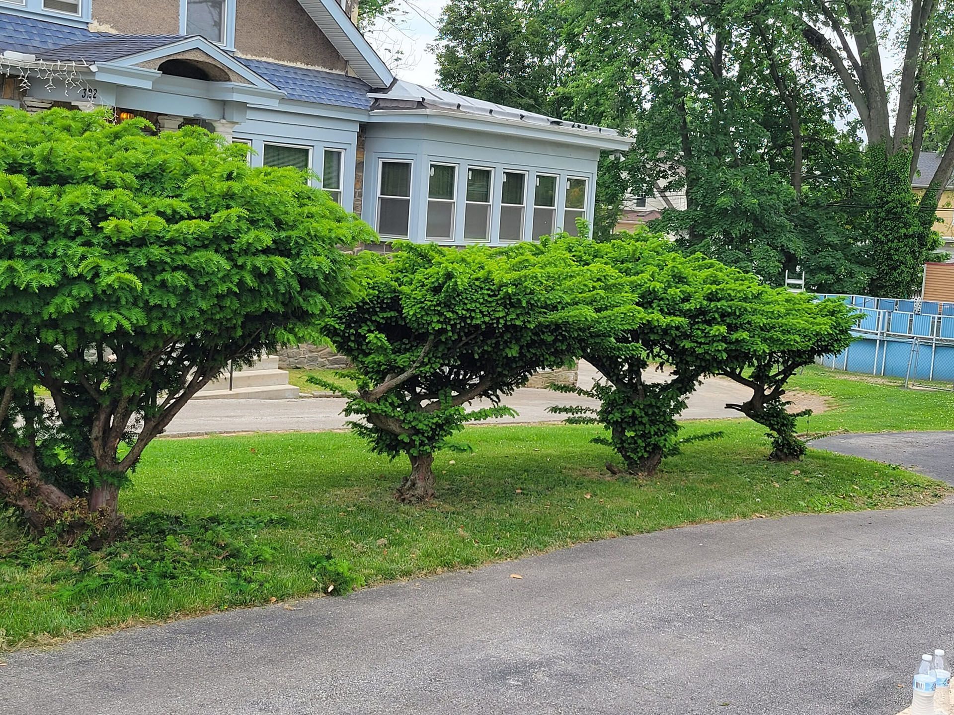 Residential front yard with neatly trimmed shrubs, a house, and a driveway beside the lawn