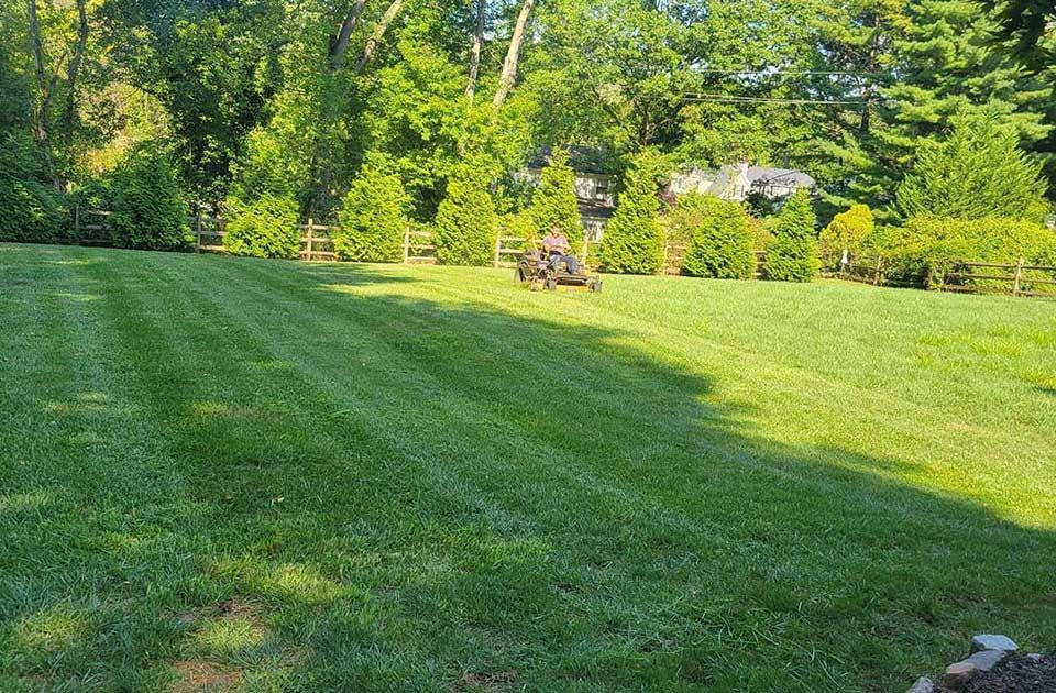Sunny green lawn with trees, a fence, and a landscaper on a riding mower.