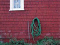 House siding warping