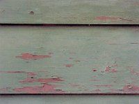Wood siding peeling