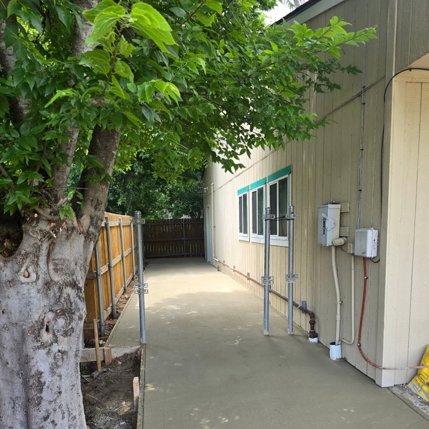 A sidewalk leading to a building with a tree in the foreground