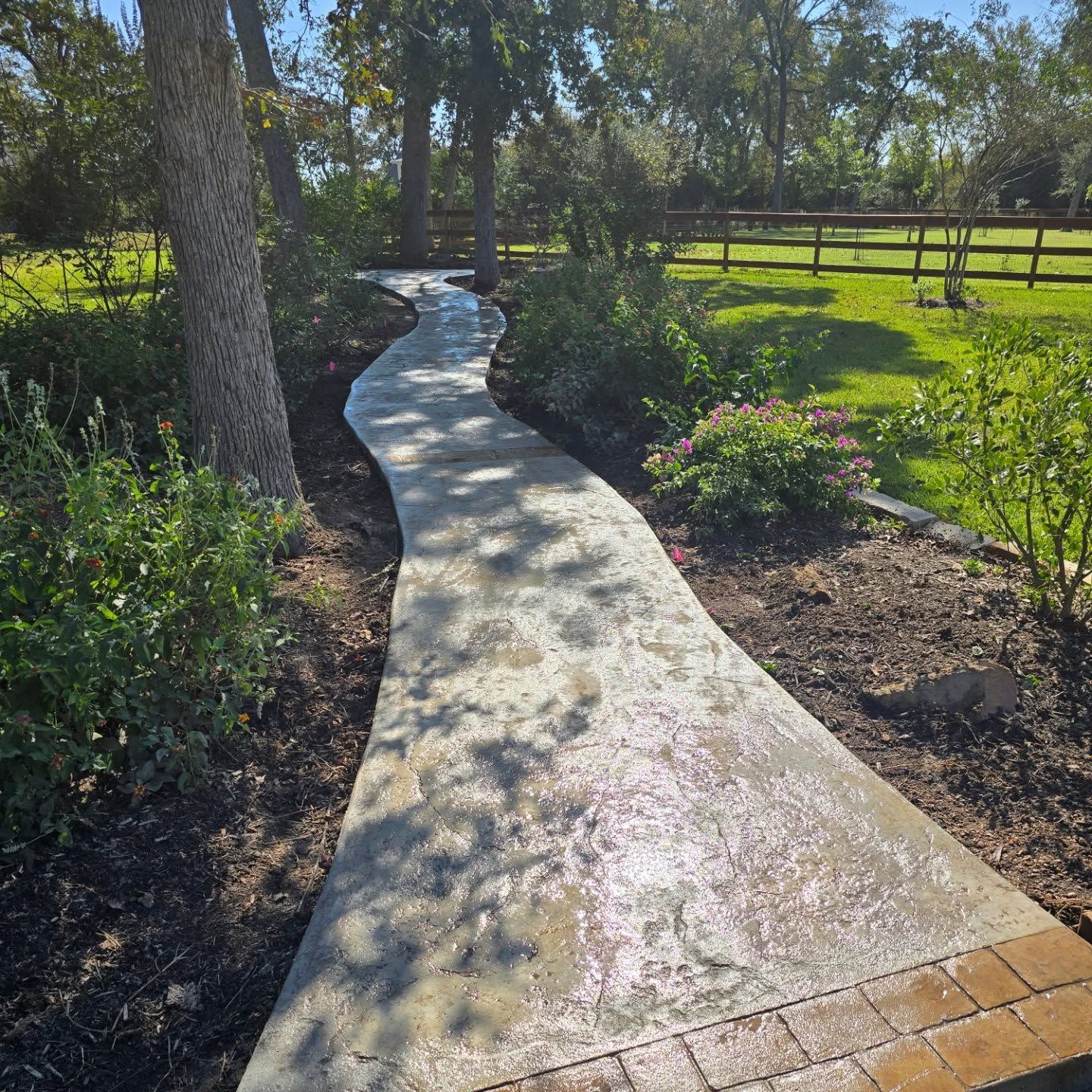 A concrete walkway is surrounded by trees and bushes in a park.