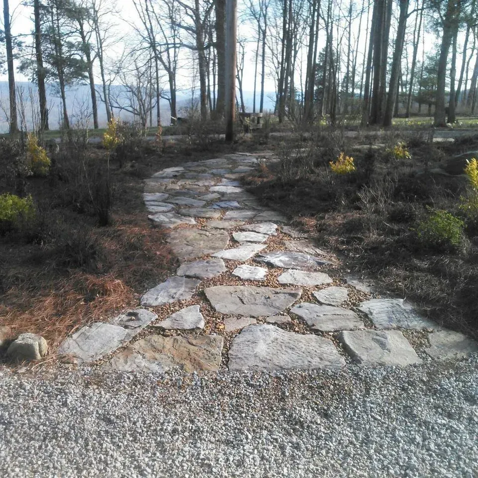 Curved stone path through a leafless wooded park in winter