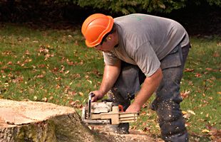 Man removing tree stump