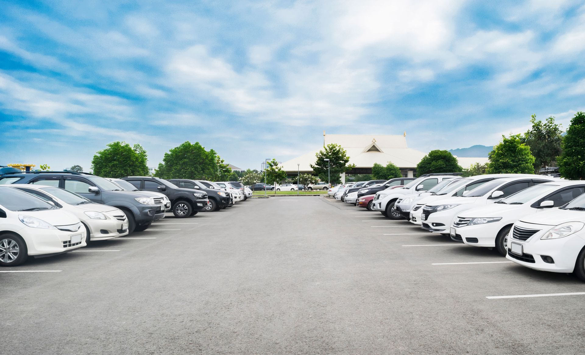 A wide-angle shot of a sunny outdoor parking lot filled with many white and dark-colored cars parked in orderly rows.