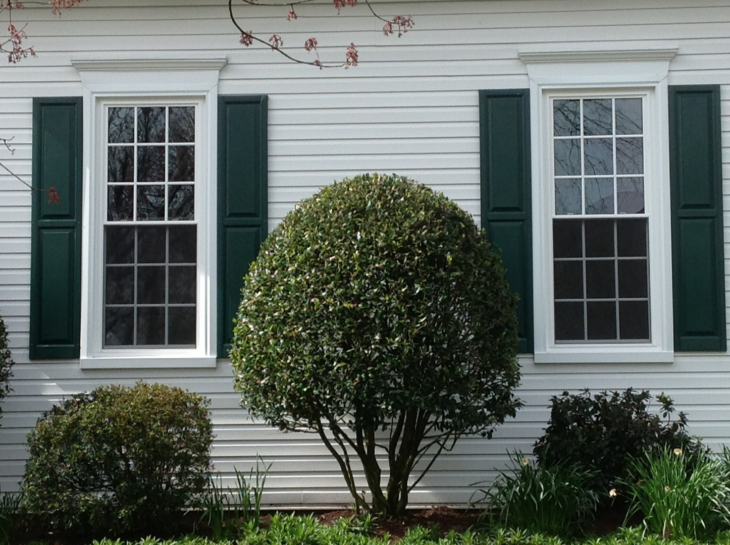 Windows replacement service