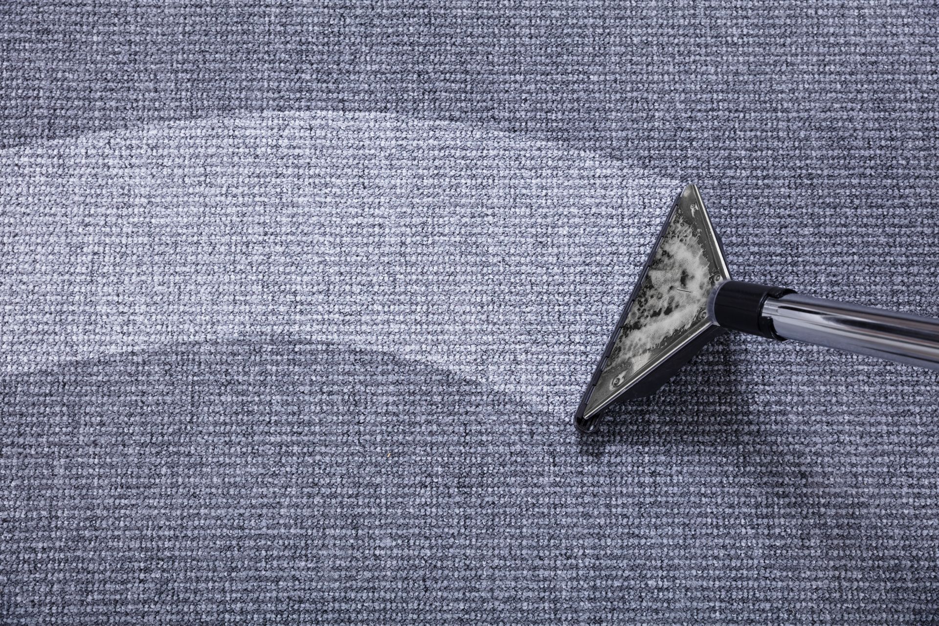 carpet cleaning service