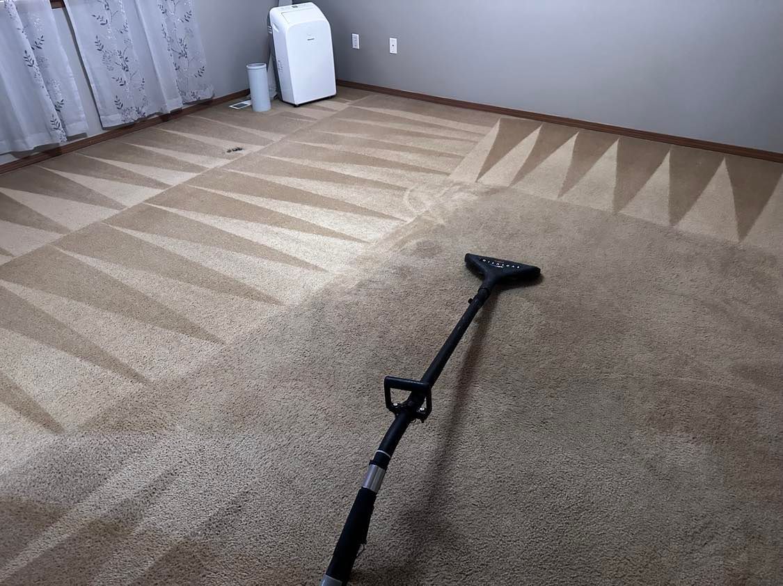 Carpet being cleaned, showing the contrast between dirty and clean sections.