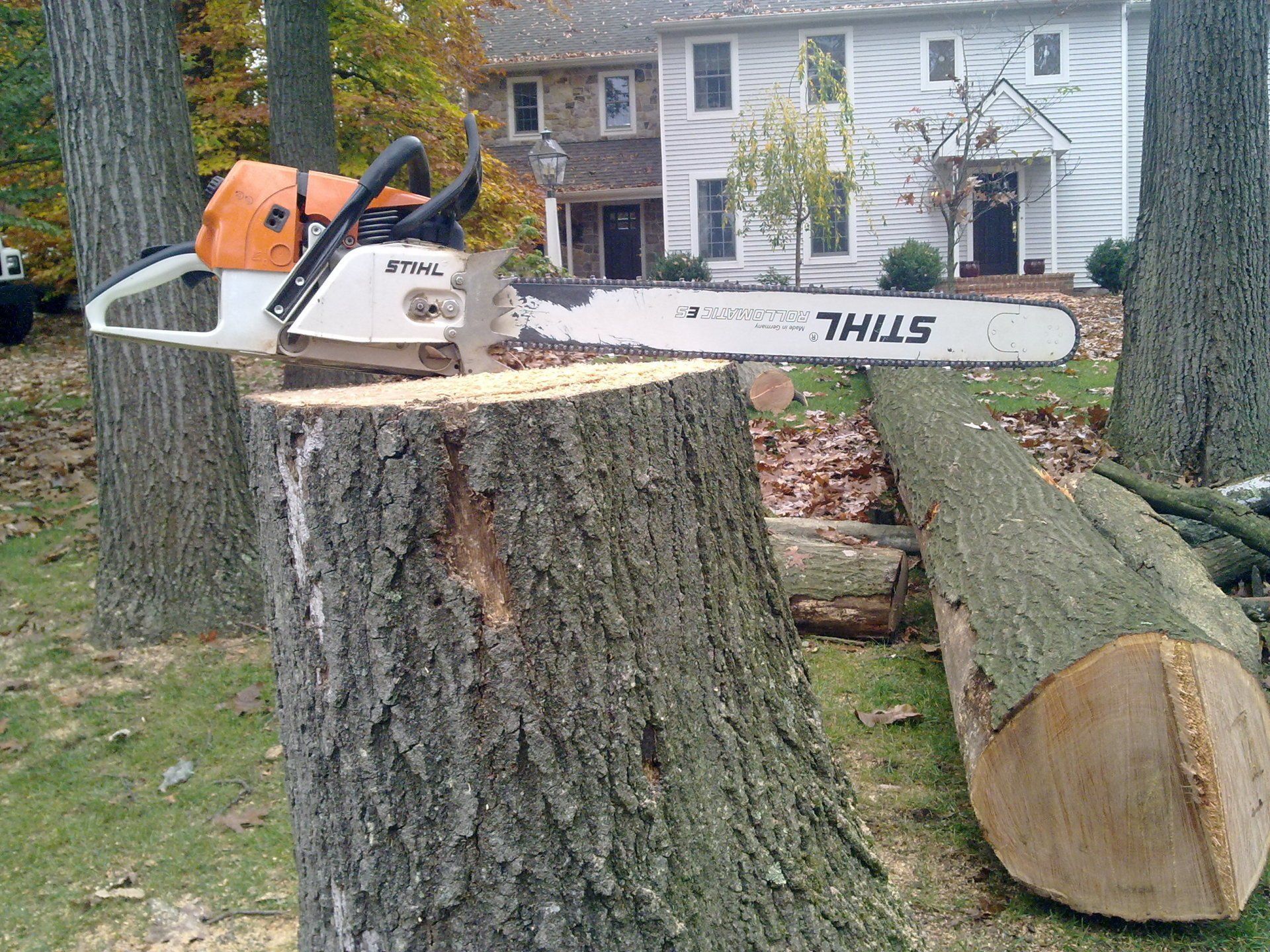 tree services