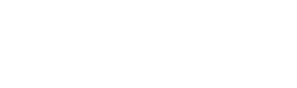 Paradise Pool Group Inc - Logo 