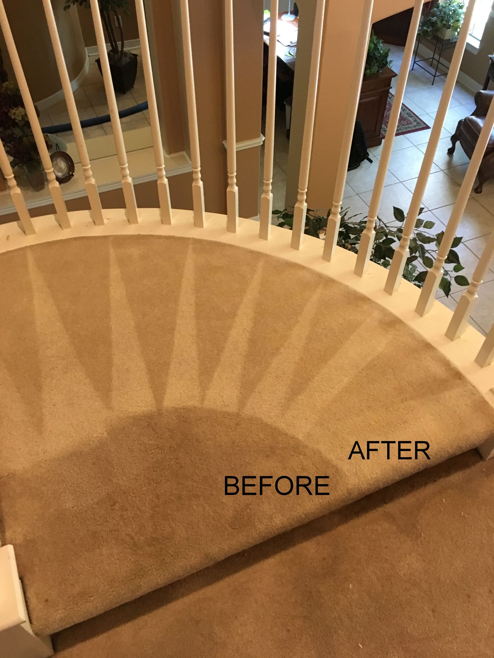 carpet cleaning