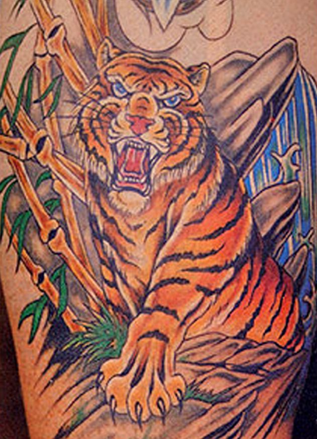 A close up of a tattoo of a tiger on a person 's back.
