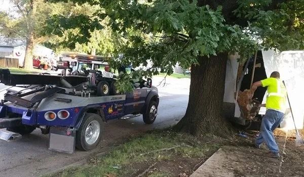 Tow truck with a vehicle on the flatbed next to a large tree. A worker in a safety vest pulls something.