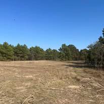 A large dry field with trees in the background on a sunny day.