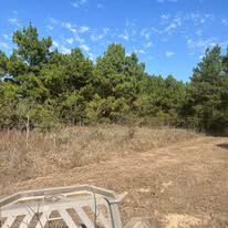 A tractor is driving through a field with trees in the background.