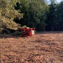 A red tractor is cutting down trees in a field.