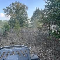 A person is driving a tractor through a forest.