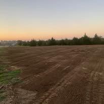 A large dirt field with trees in the background at sunset.