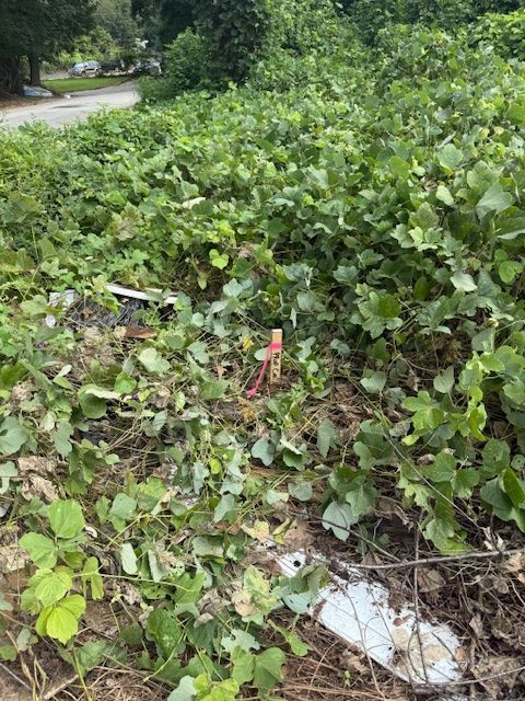 Spacious kitchen with wood cabinets, island with seating, and stainless steel appliances.