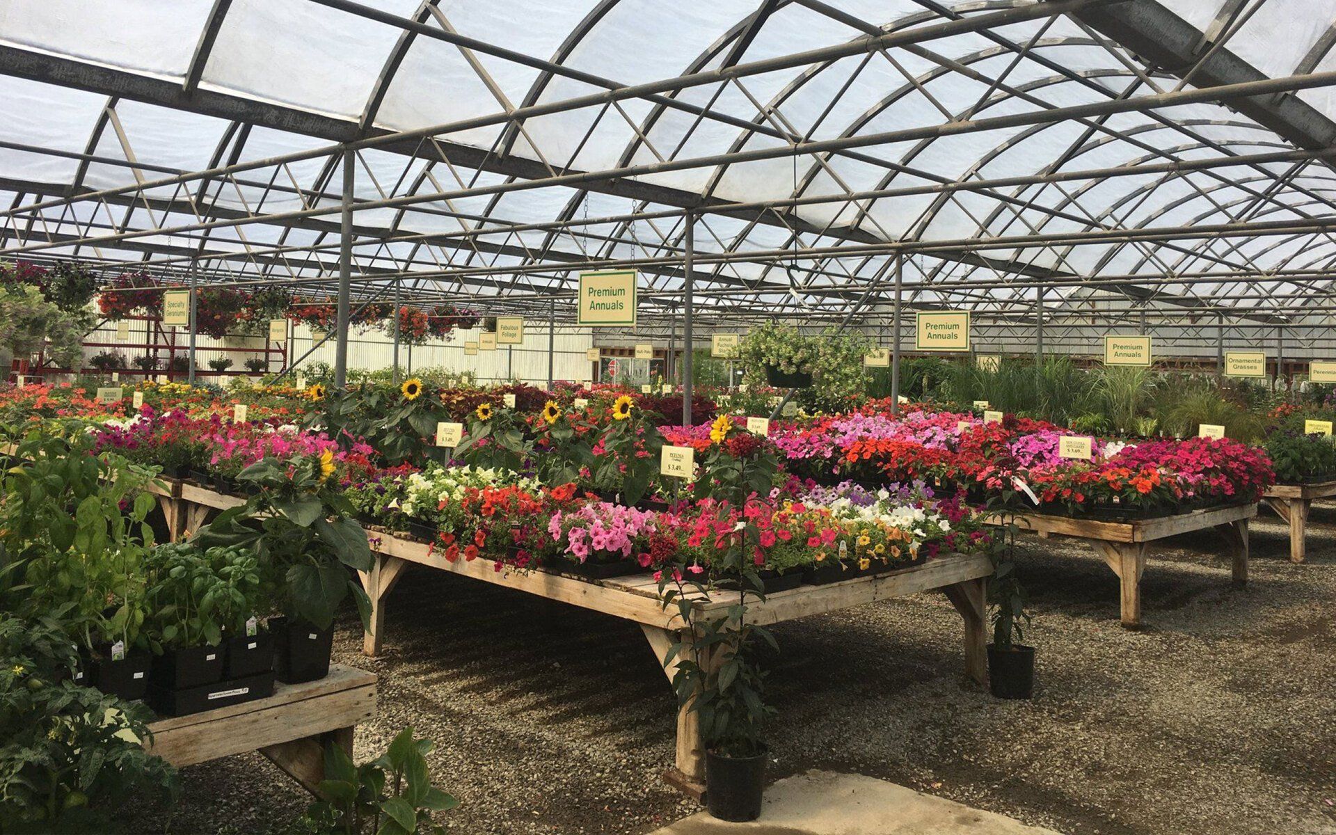 Edgewood Nursery & Garden | Plants and Flowers | Edgewood WA