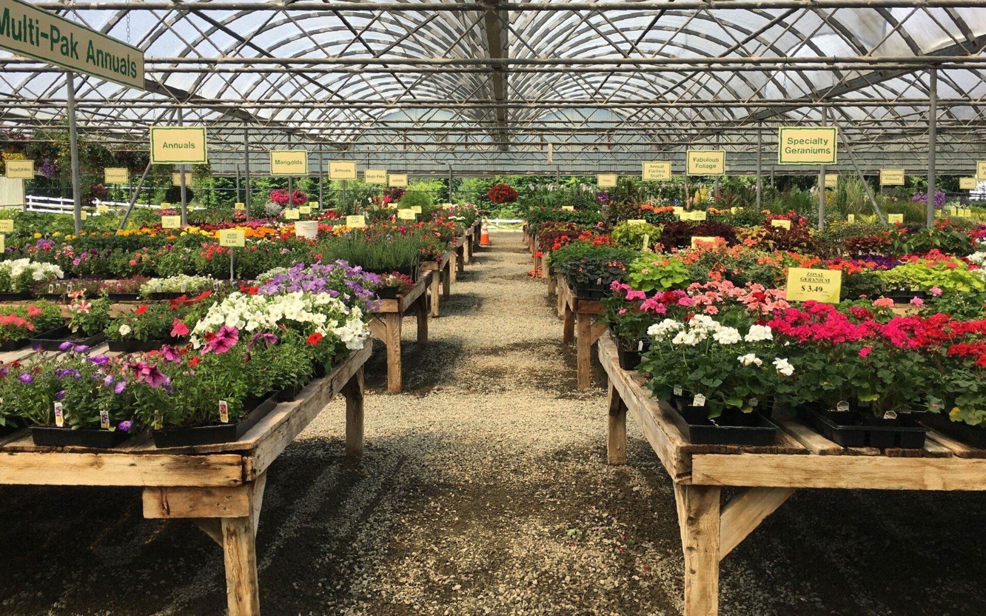 Spruce up Your Garden with These Plant Nurseries and Garden Centers in  Olympia and Surrounding Areas - ThurstonTalk