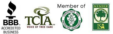 LOBE MIRACLE Trademark of CCA Industries, Inc. - Registration Number  5167088 - Serial Number 86657354 :: Justia Trademarks