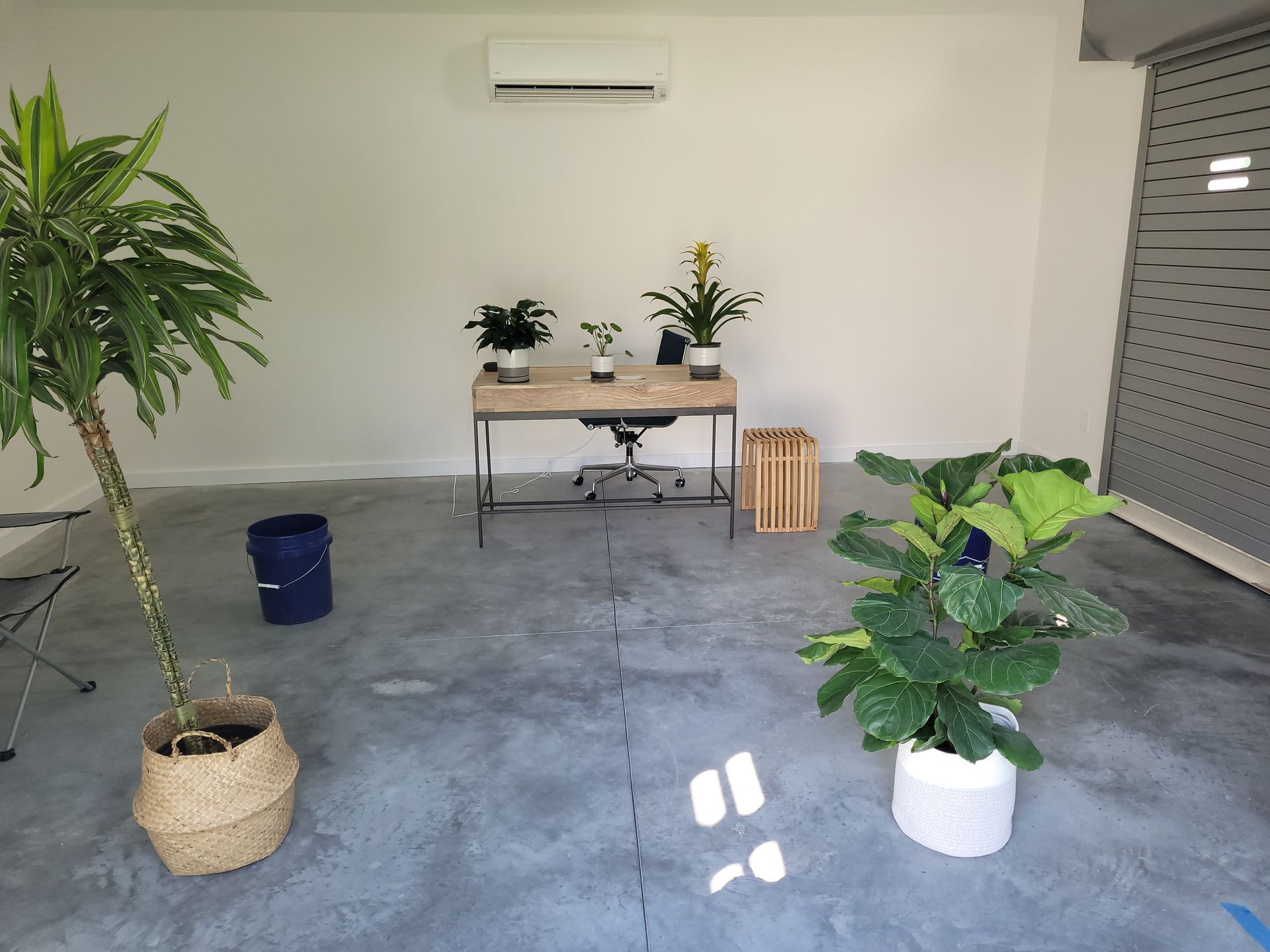 A room with a desk and potted plants on the floor