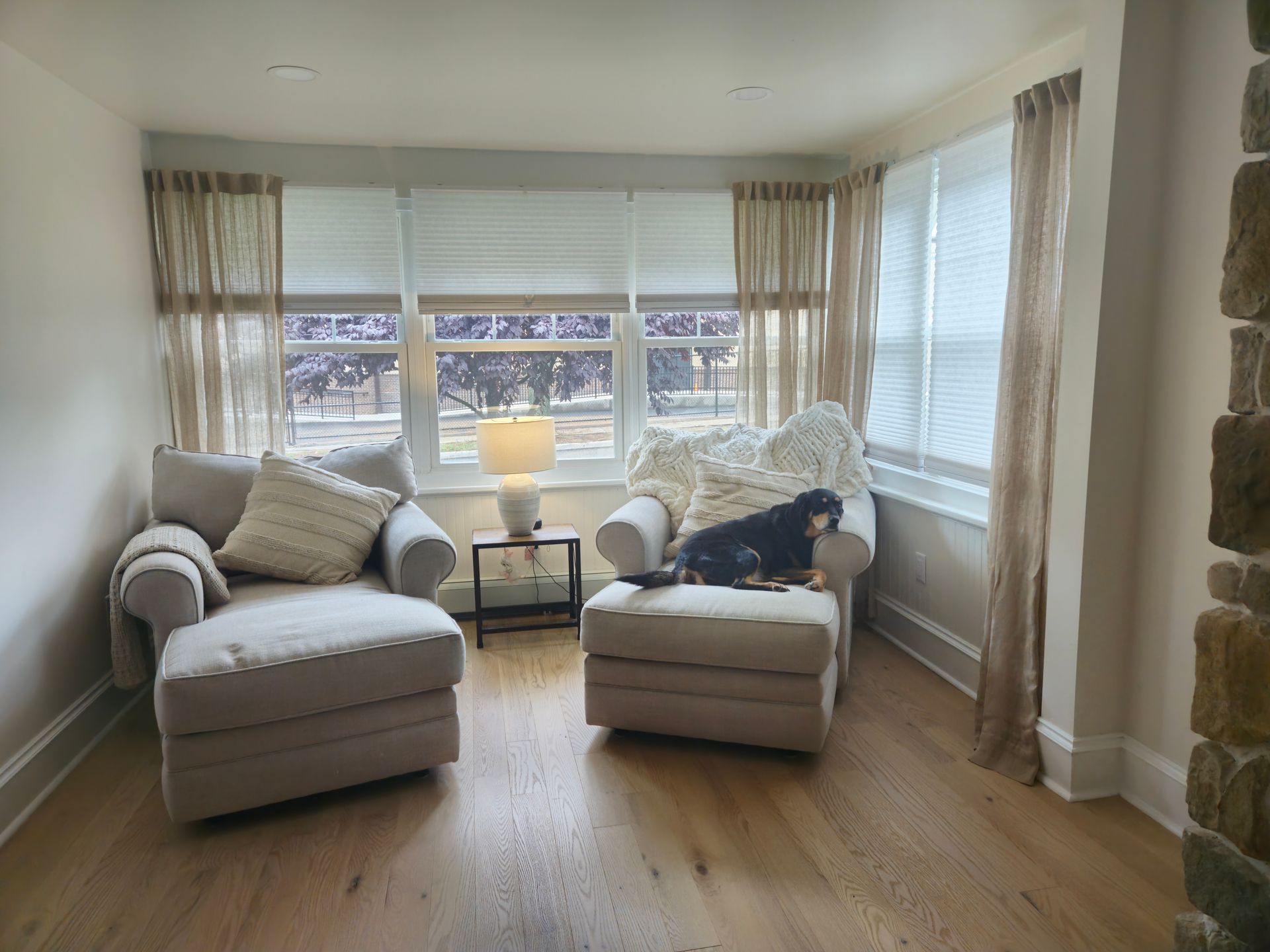 A living room with two chairs and an ottoman and a dog laying on the ottoman.