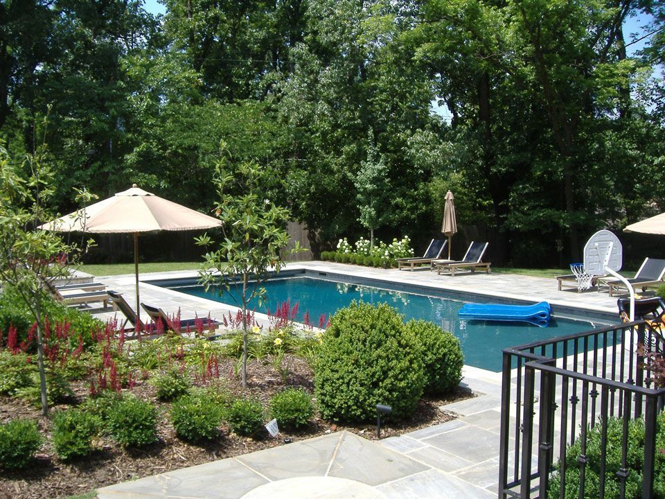 Backyard pool surrounded by landscaping, trees, lounge chairs, and an umbrella.