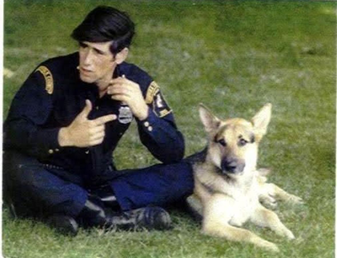 People with dogs at an outdoor training session. One woman, two men, and three dogs are present.