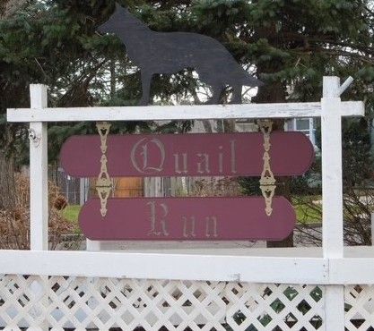 A tan pony grazes on green grass with a goat nearby; trees and a fence are in the background.