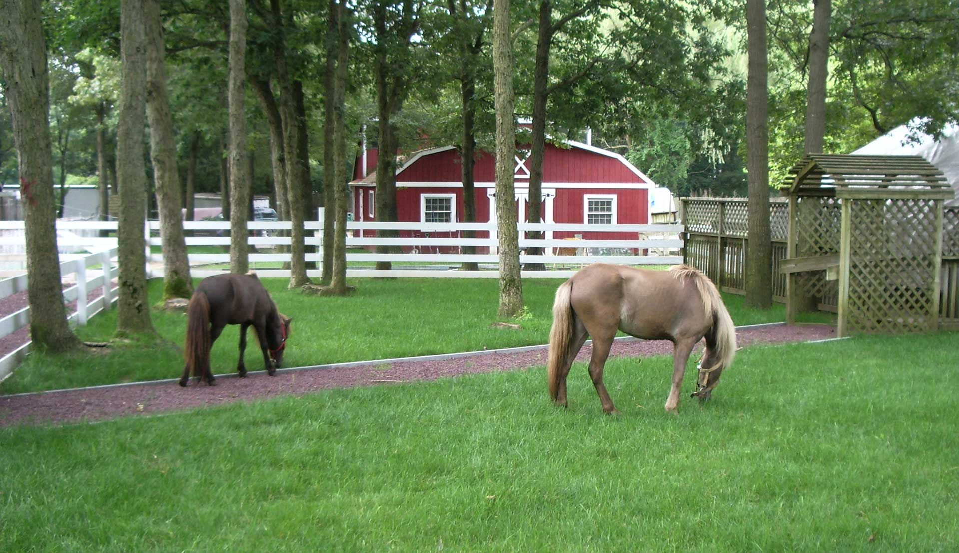 Two horses graze on green grass near a red barn and white fence.