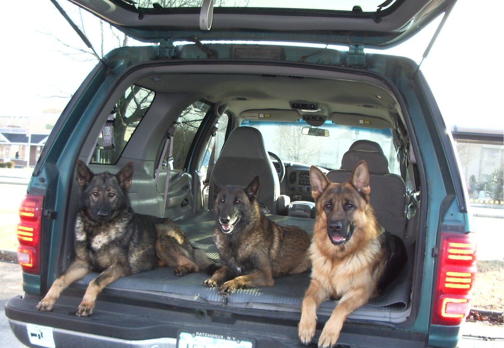 Three ponies graze in a grassy enclosure, a white fence and red barn in the background.