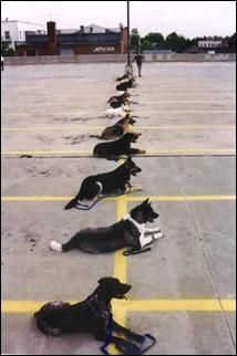 Two horses graze on green grass near a red barn and white fence.